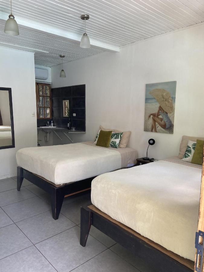 Lizard King Hotel & Suites Puerto Viejo de Talamanca Exteriör bild