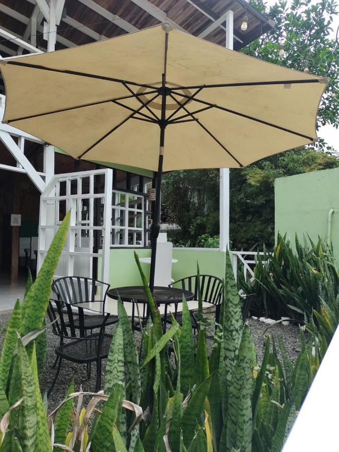 Lizard King Hotel & Suites Puerto Viejo de Talamanca Exteriör bild