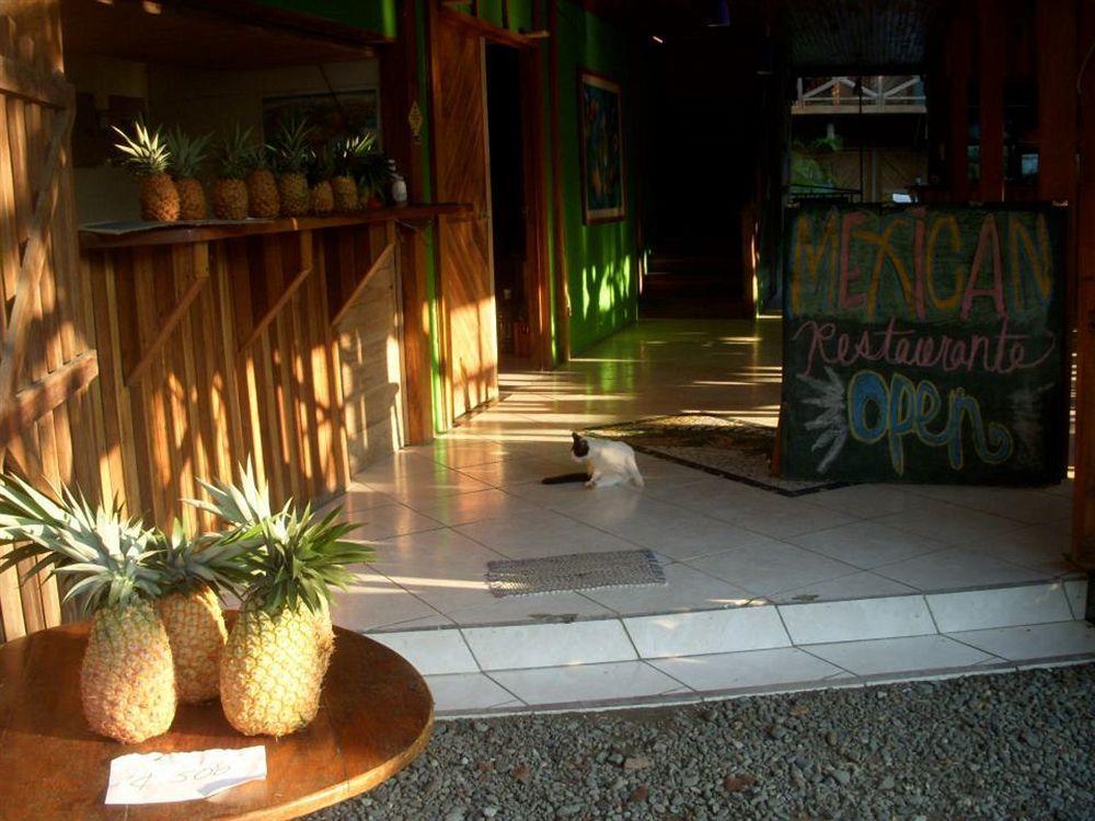 Lizard King Hotel & Suites Puerto Viejo de Talamanca Exteriör bild